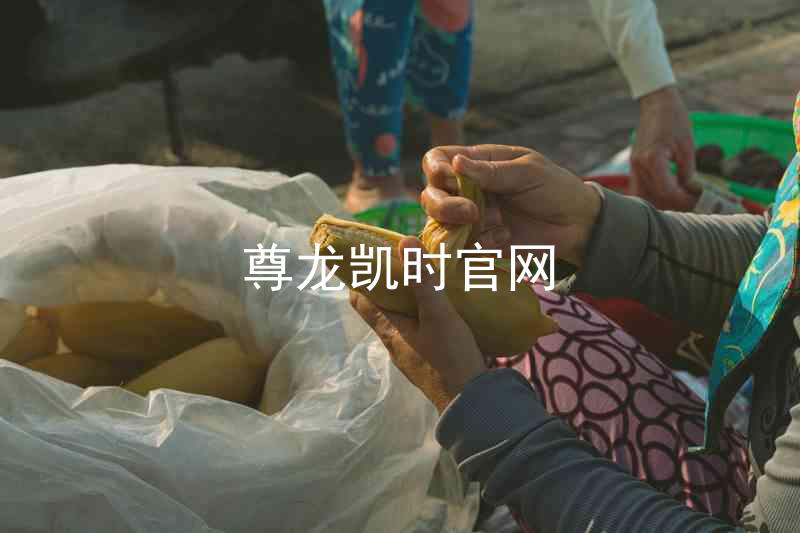 尊龙凯时官网