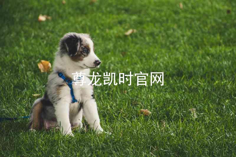 尊龙凯时官网